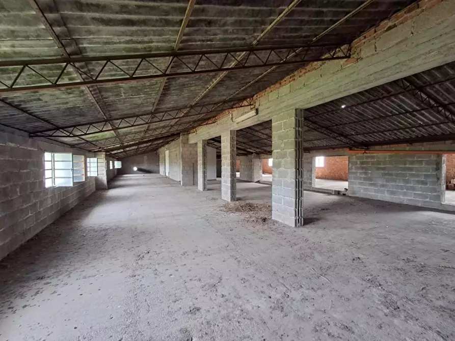 Immagine 21 di Attività artigianale in vendita  a Capannori