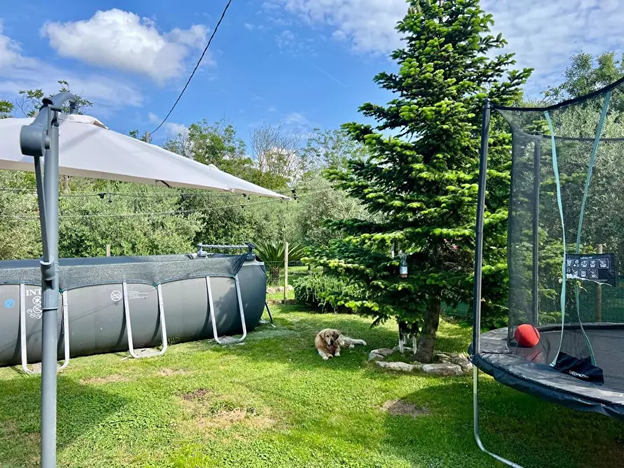 Immagine 5 di Appartamento in vendita  a Vecchiano