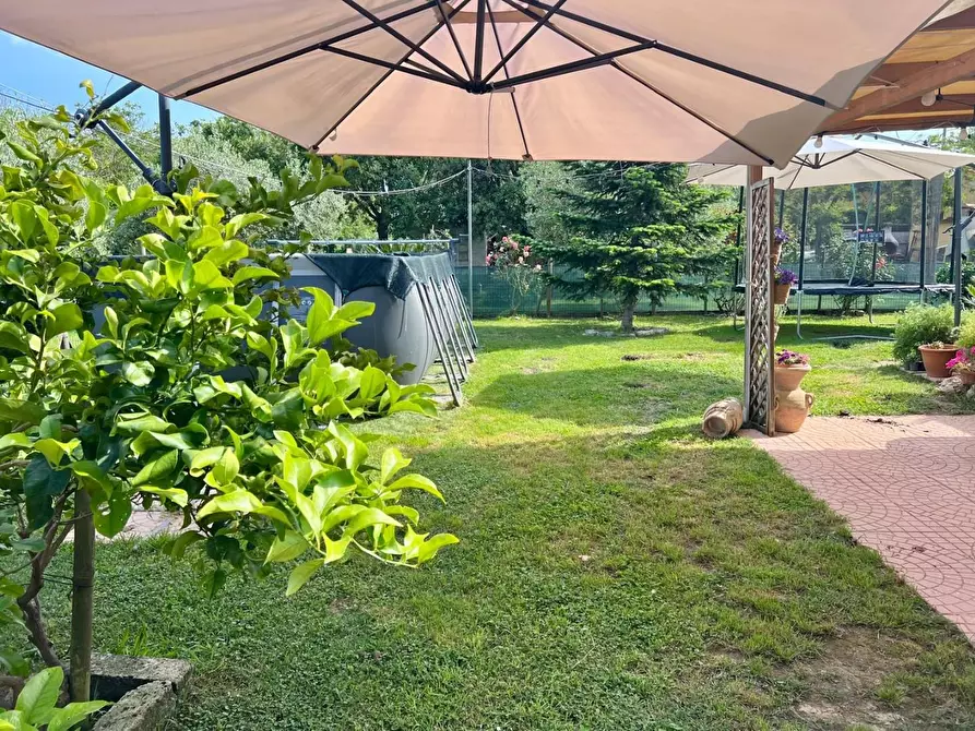 Immagine 10 di Appartamento in vendita  a Vecchiano