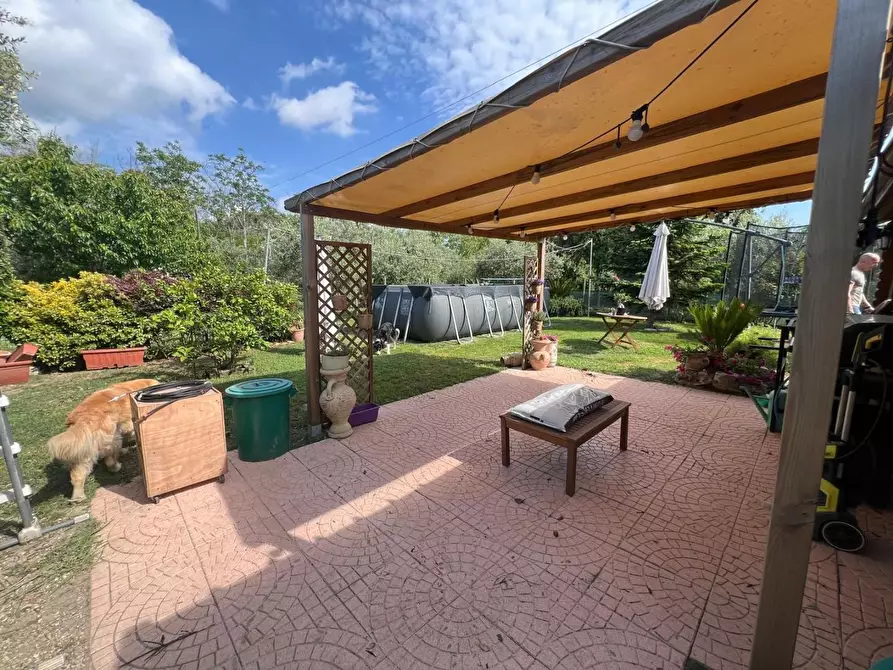 Immagine 13 di Appartamento in vendita  a Vecchiano