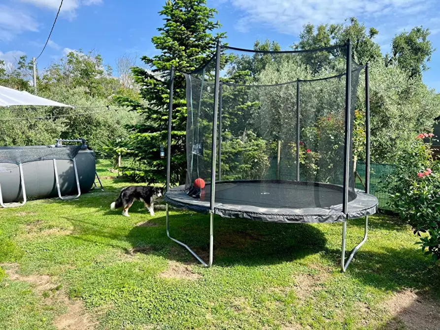 Immagine 7 di Appartamento in vendita  a Vecchiano