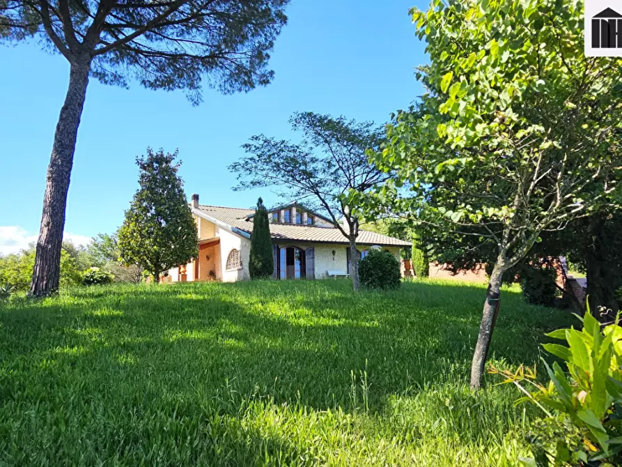 Immagine 8 di Villa in vendita  a Santa Maria A Monte