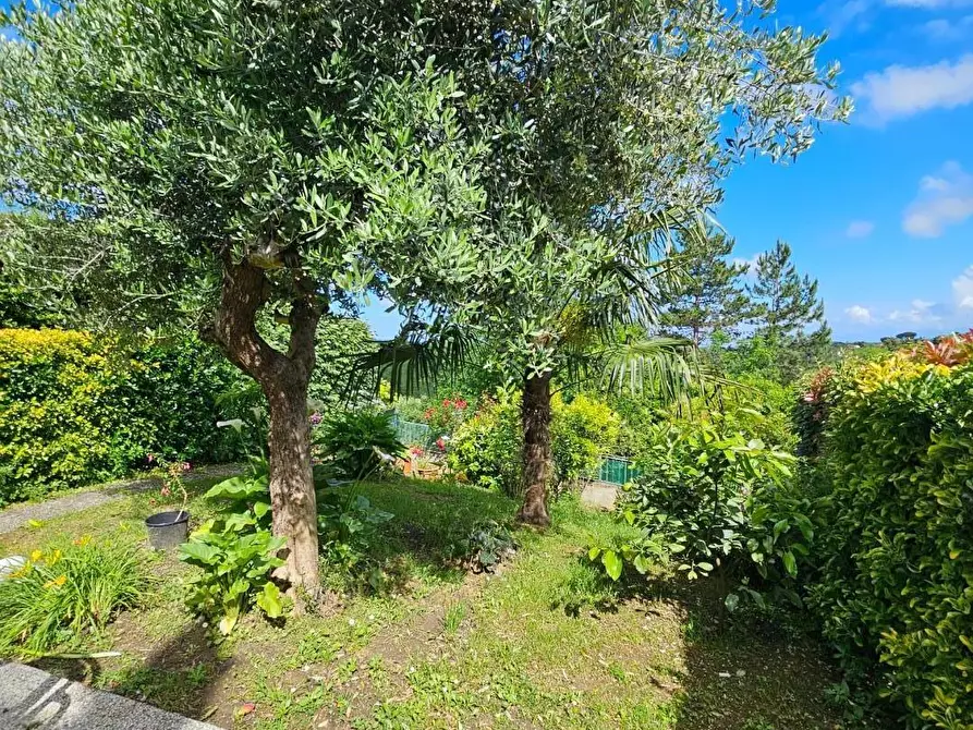 Immagine 7 di Appartamento in vendita  a Fauglia