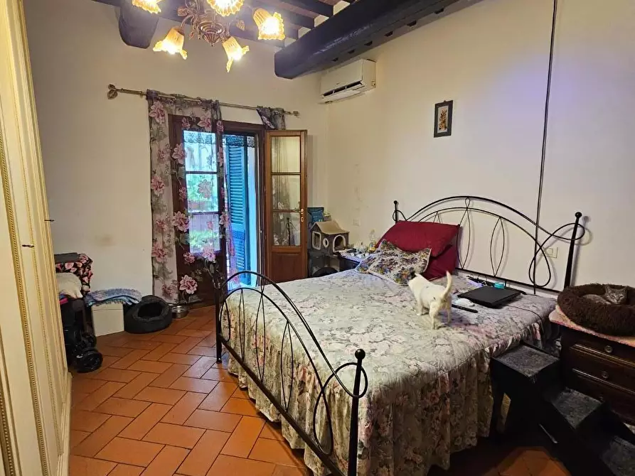 Immagine 19 di Appartamento in vendita  a Fauglia