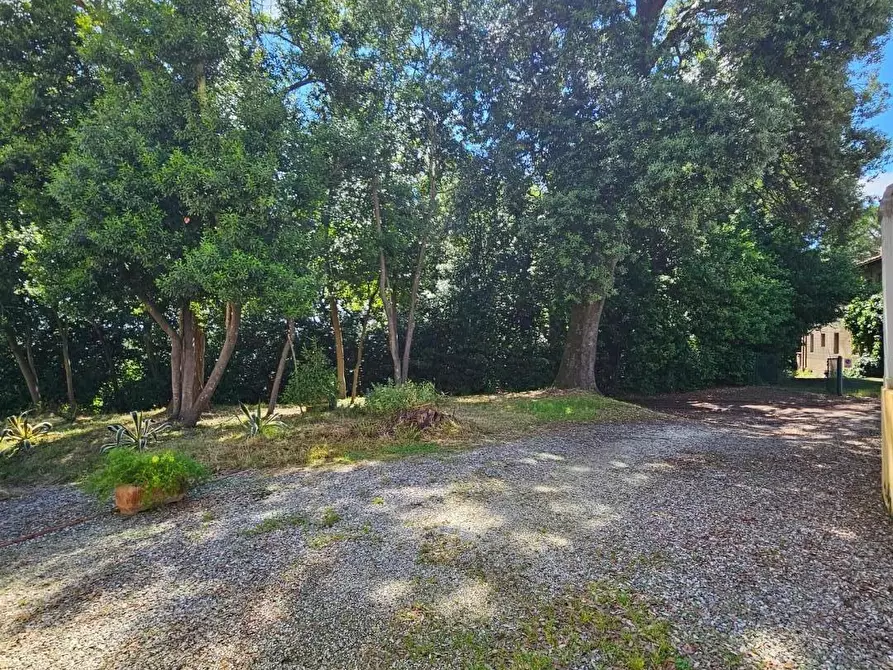 Immagine 28 di Appartamento in vendita  a Fauglia