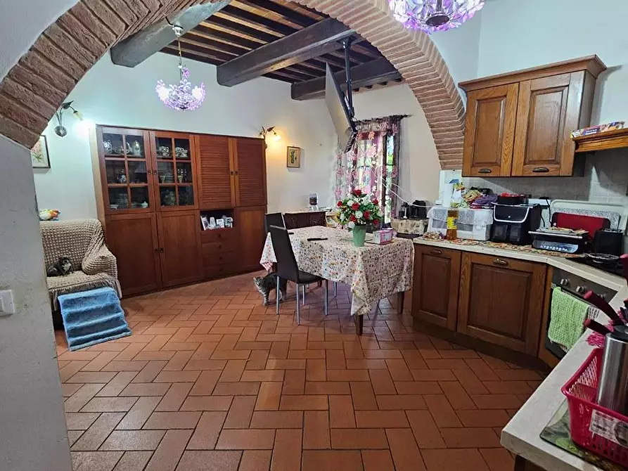 Immagine 16 di Appartamento in vendita  a Fauglia