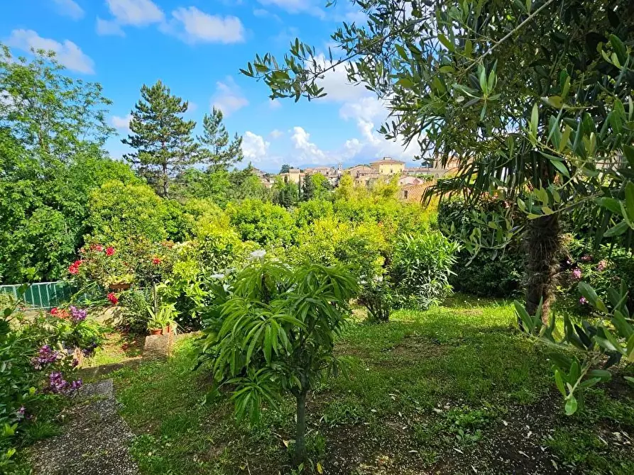 Immagine 8 di Appartamento in vendita  a Fauglia