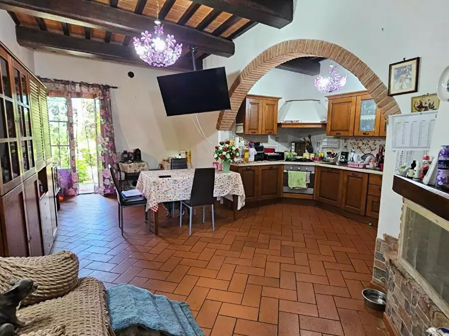 Immagine 14 di Appartamento in vendita  a Fauglia