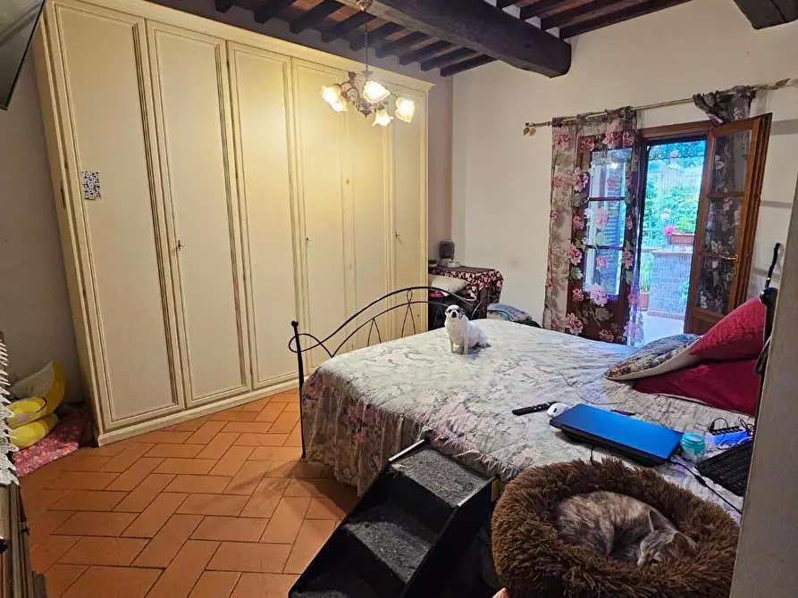 Immagine 18 di Appartamento in vendita  a Fauglia