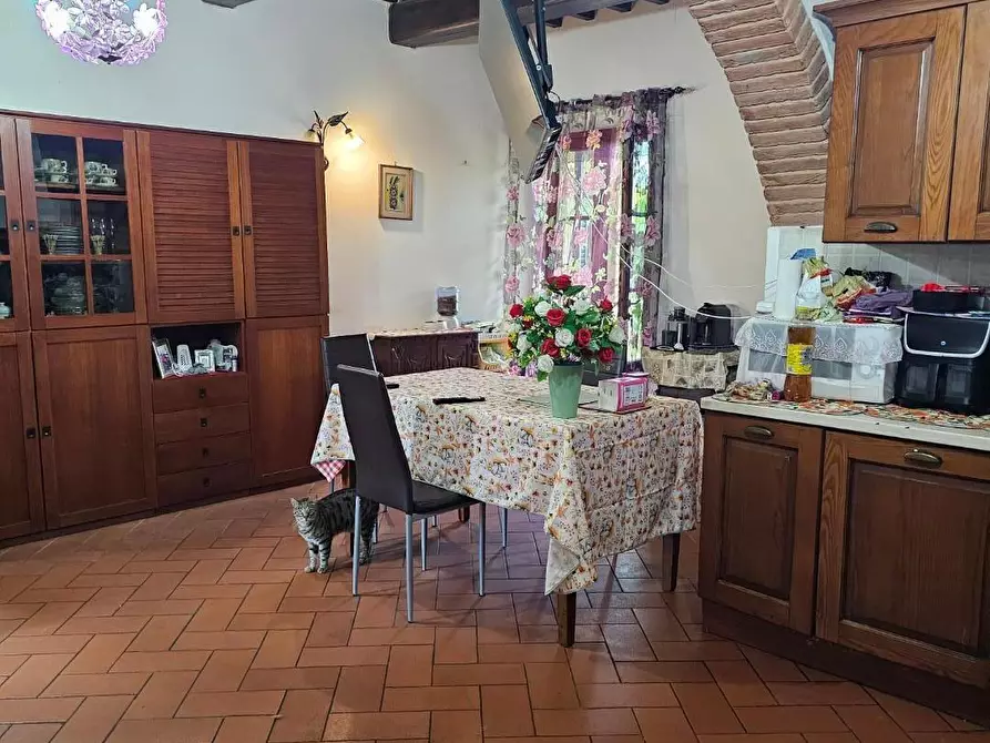 Immagine 17 di Appartamento in vendita  a Fauglia