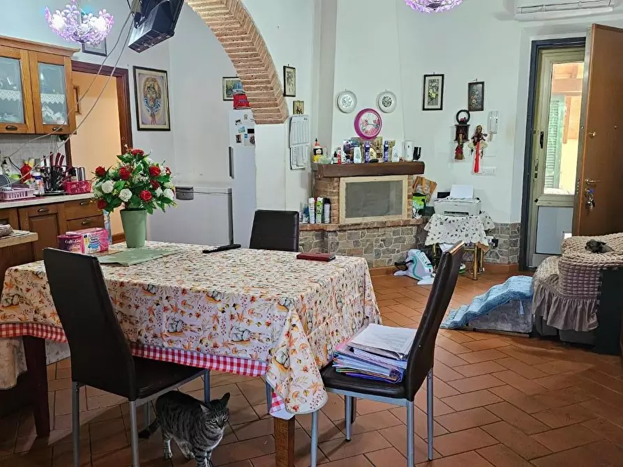 Immagine 13 di Appartamento in vendita  a Fauglia