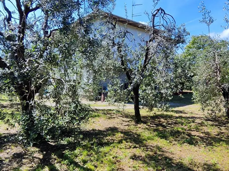 Immagine 7 di Casa indipendente in vendita  a Castelfranco Di Sotto