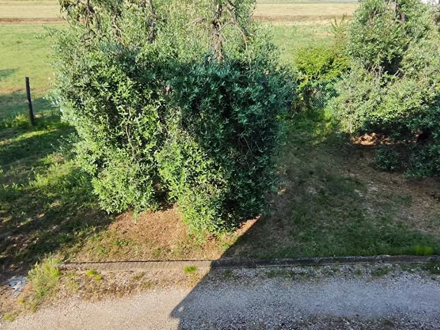 Immagine 18 di Casa indipendente in vendita  a Castelfranco Di Sotto