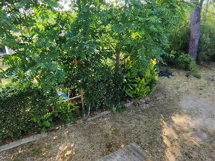 Immagine 19 di Casa indipendente in vendita  a Castelfranco Di Sotto