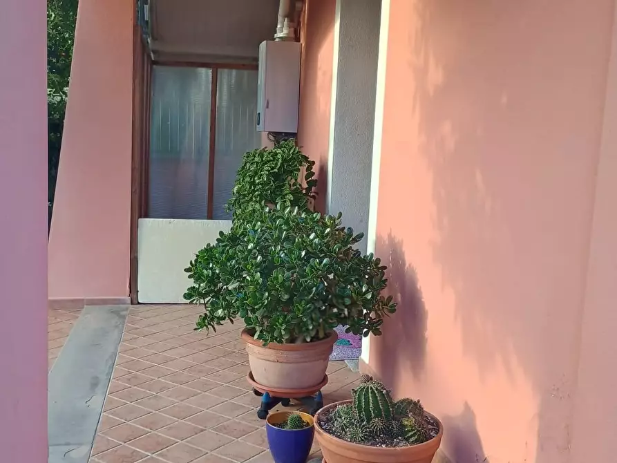 Immagine 4 di Appartamento in vendita  a Casciana Terme Lari