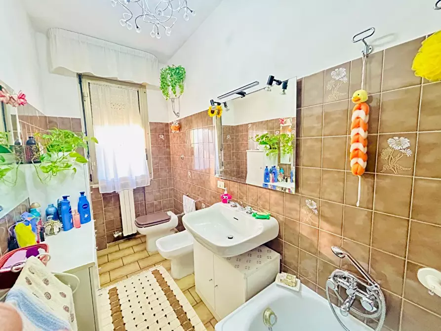 Immagine 13 di Appartamento in vendita  a Empoli