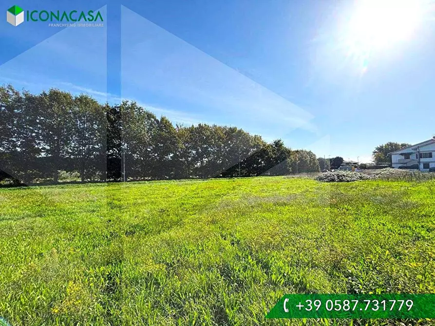 Immagine 3 di Terreno residenziale in vendita  a Casciana Terme Lari