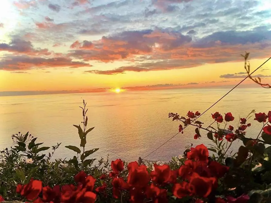 Immagine 2 di Rustico / casale in vendita  a La Spezia