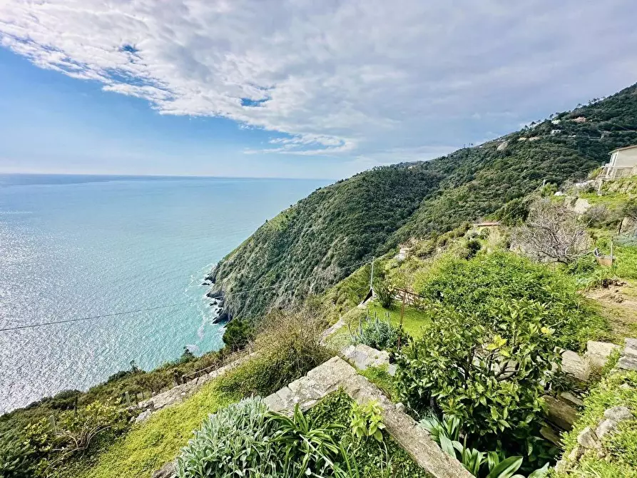 Immagine 4 di Rustico / casale in vendita  a La Spezia