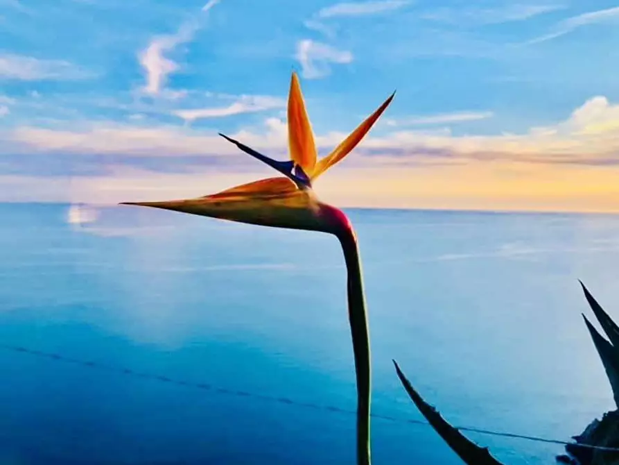 Immagine 3 di Rustico / casale in vendita  a La Spezia