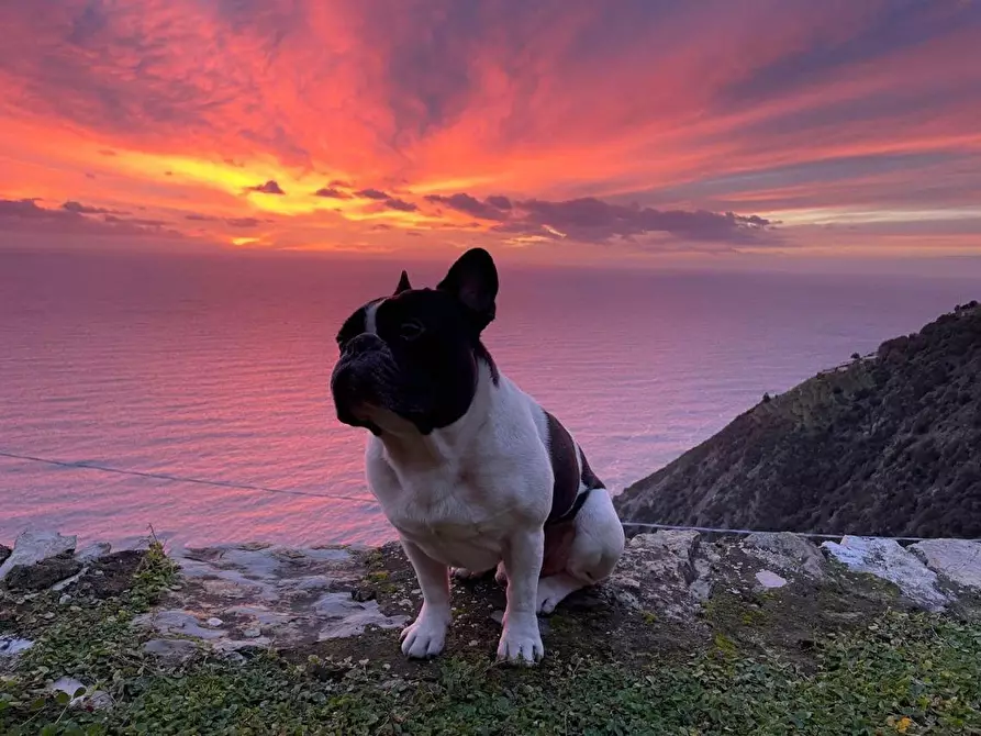 Immagine 1 di Rustico / casale in vendita  a La Spezia