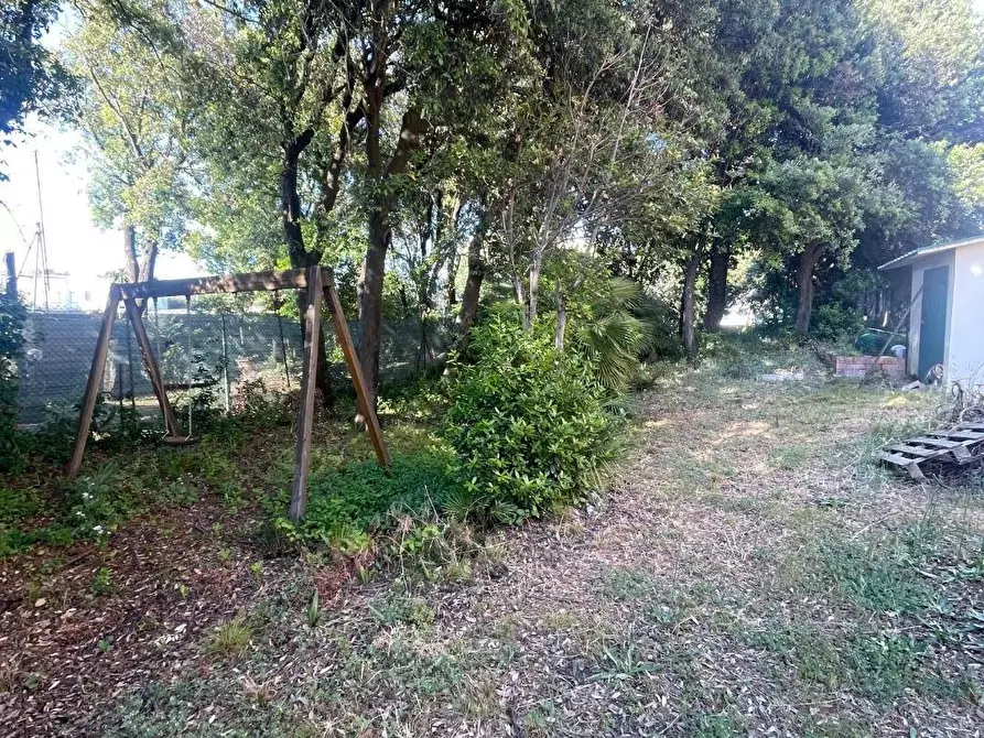 Immagine 16 di Appartamento in affitto  a Pisa