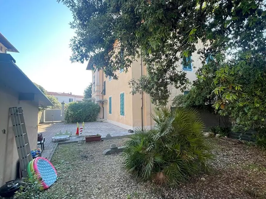 Immagine 17 di Appartamento in affitto  a Pisa