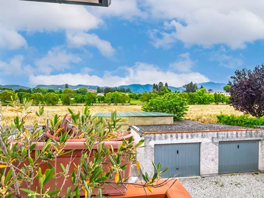 Immagine 18 di Appartamento in vendita  a San Giuliano Terme