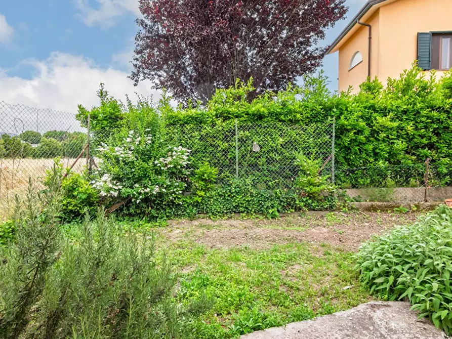 Immagine 63 di Appartamento in vendita  a San Giuliano Terme