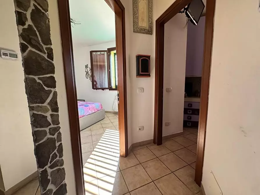 Immagine 8 di Appartamento in vendita  a Casole D'elsa