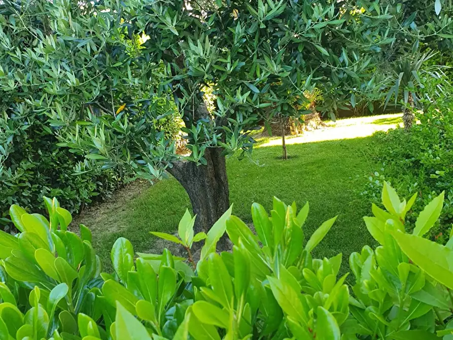 Immagine 33 di Casa bifamiliare in vendita  a Cascina