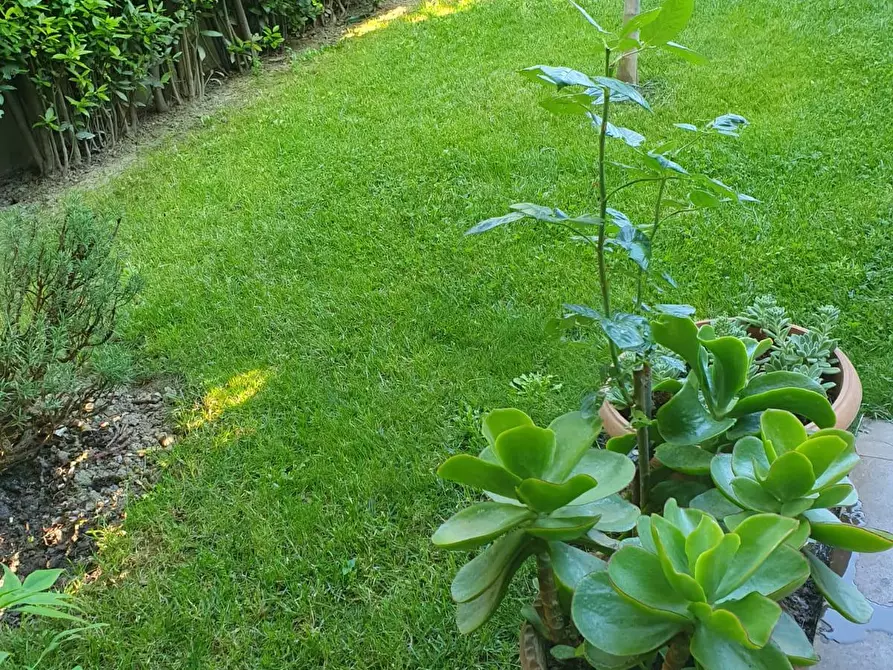 Immagine 31 di Casa bifamiliare in vendita  a Cascina