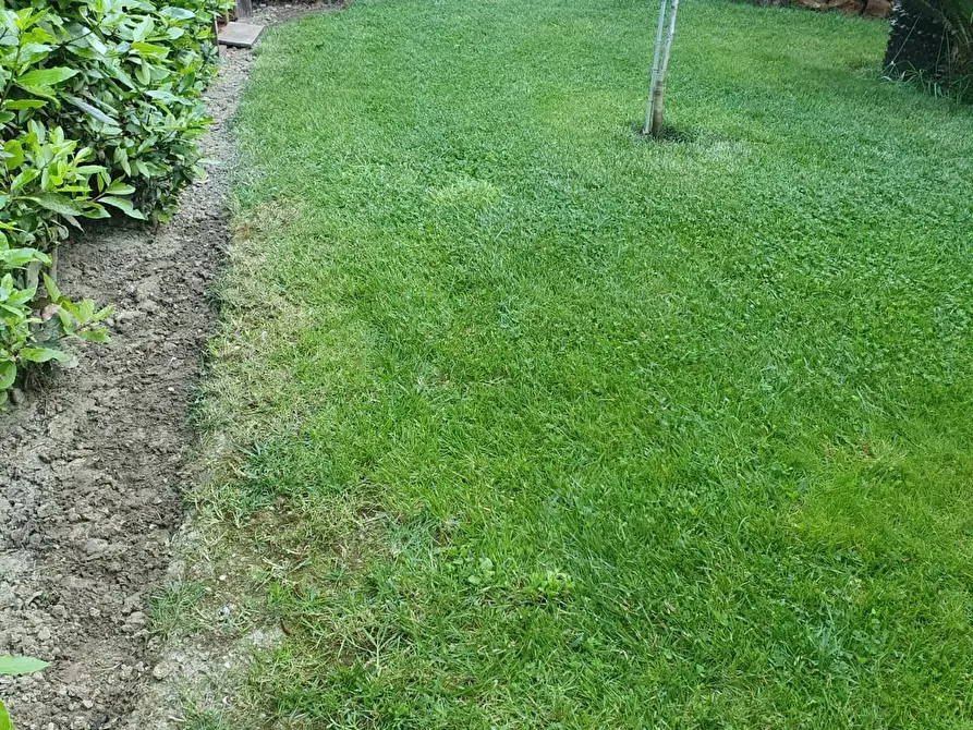 Immagine 30 di Casa bifamiliare in vendita  a Cascina