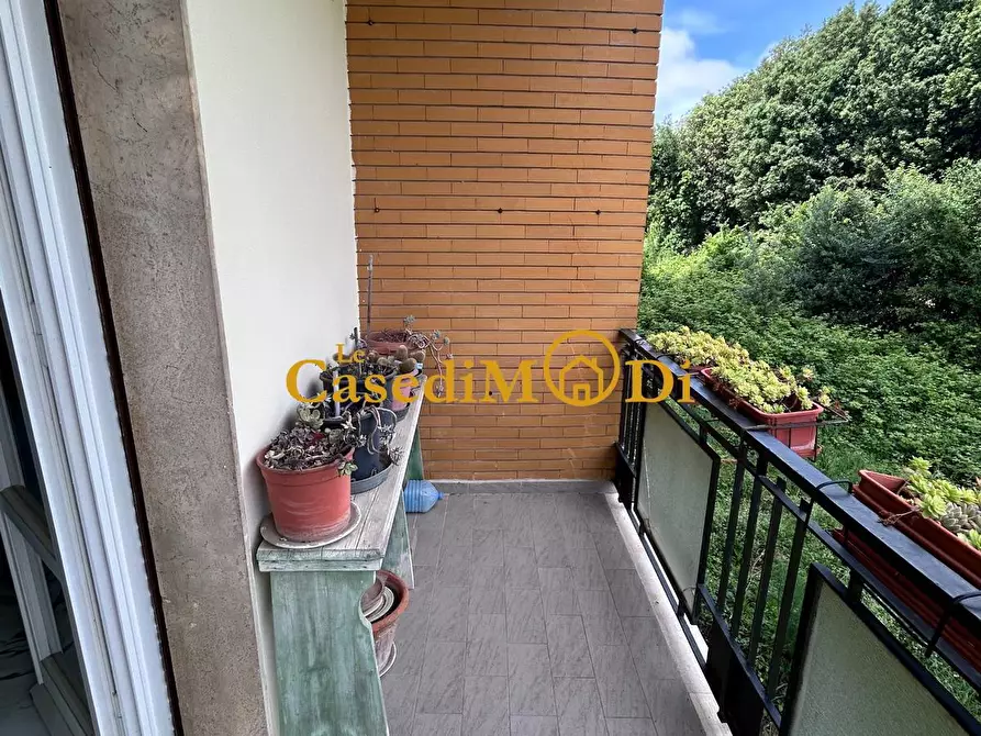 Immagine 12 di Appartamento in vendita  a Livorno