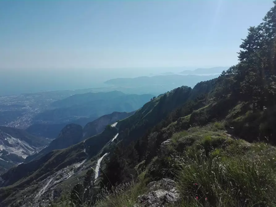 Immagine 17 di Appartamento in vendita  a Carrara