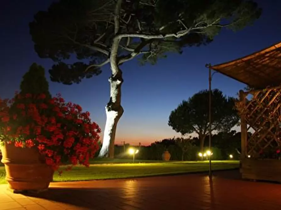 Immagine 6 di Appartamento in vendita  a Cecina