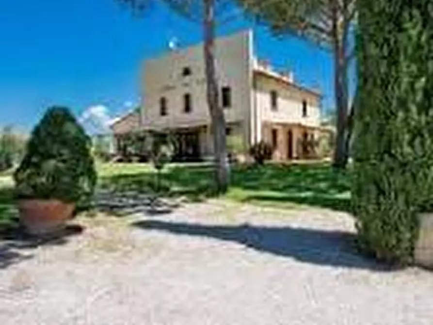 Immagine 5 di Appartamento in vendita  a Cecina