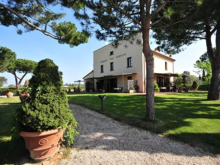 Immagine 7 di Appartamento in vendita  a Cecina