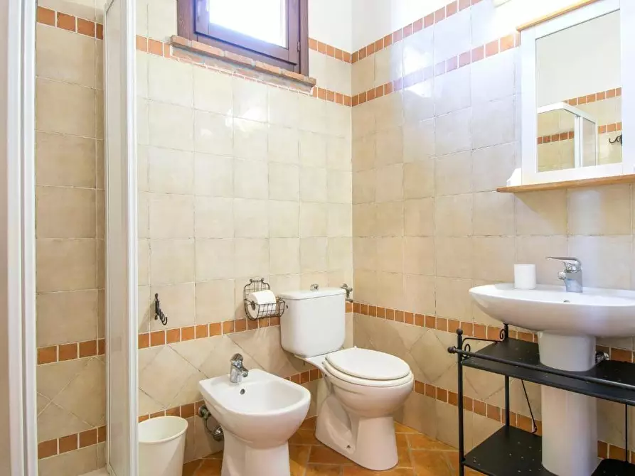 Immagine 5 di Appartamento in vendita  a Cecina