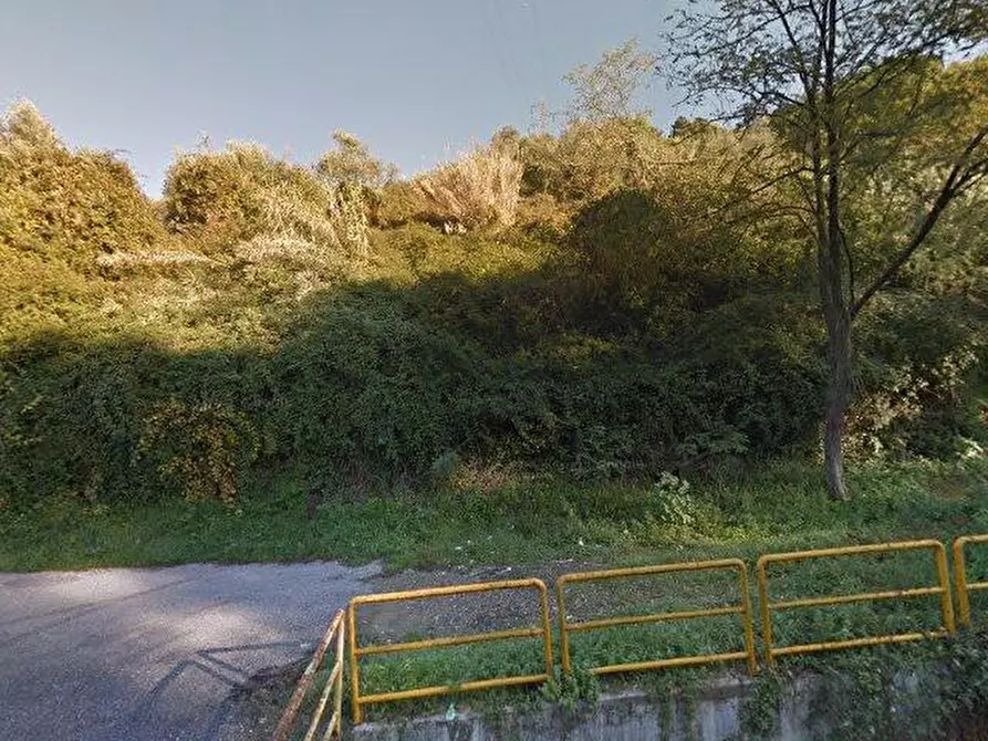 terreno agricolo in vendita a Carrara
