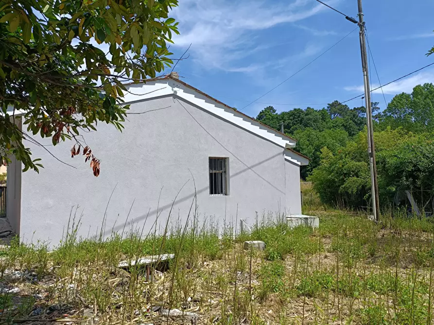 Immagine 4 di Villa in vendita  a Fucecchio