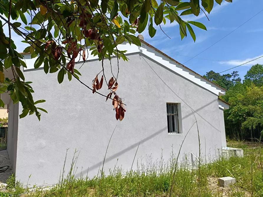 Immagine 10 di Villa in vendita  a Fucecchio