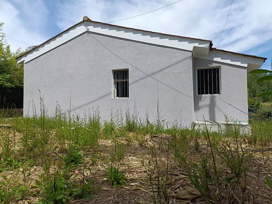 Immagine 9 di Villa in vendita  a Fucecchio