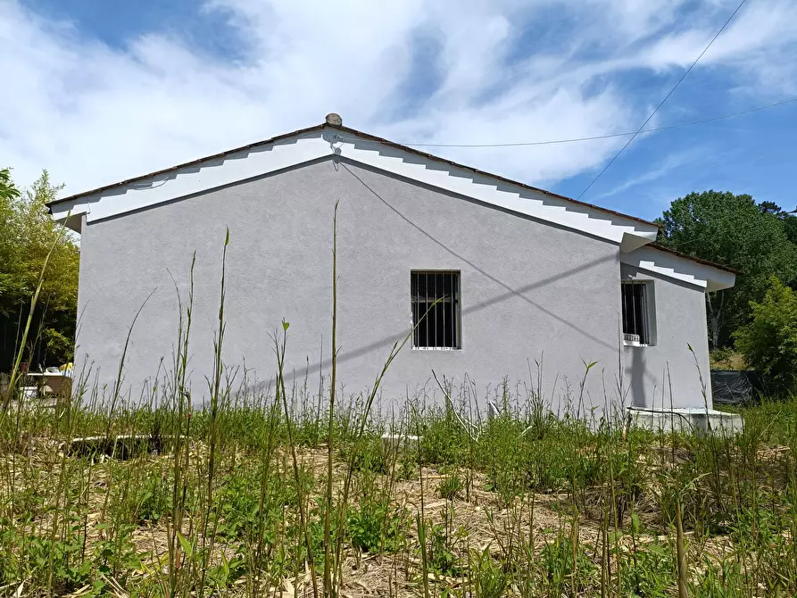 Immagine 6 di Villa in vendita  a Fucecchio