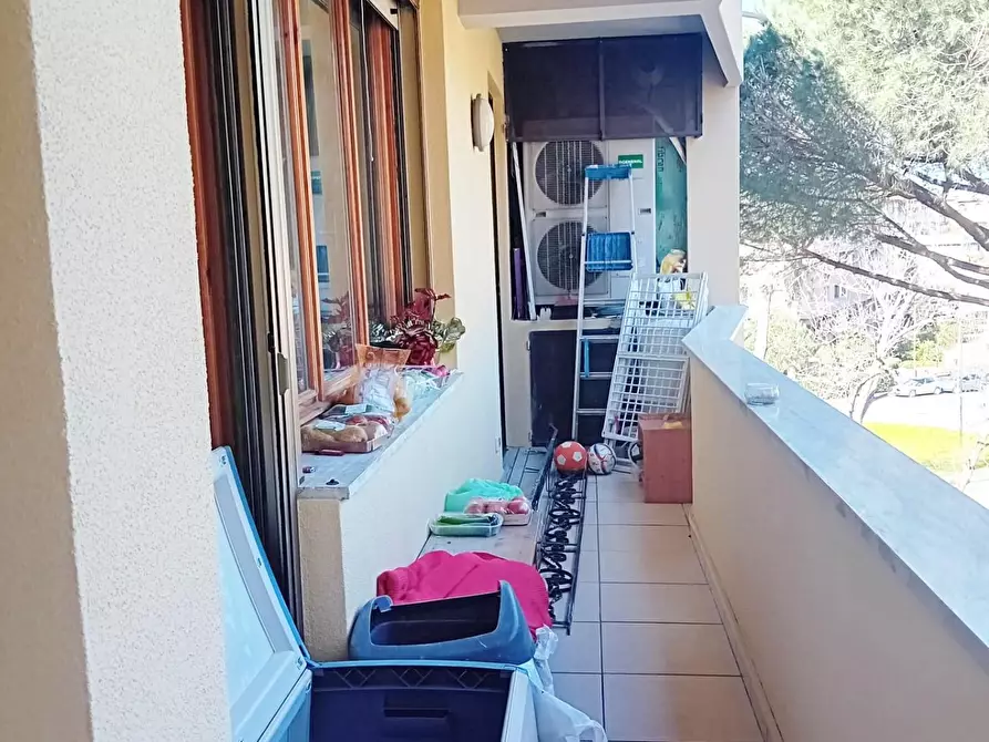 Immagine 15 di Appartamento in vendita  a Pisa