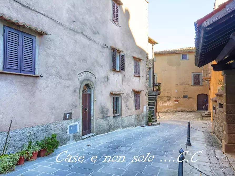 Immagine 14 di Appartamento in vendita  a Castagneto Carducci