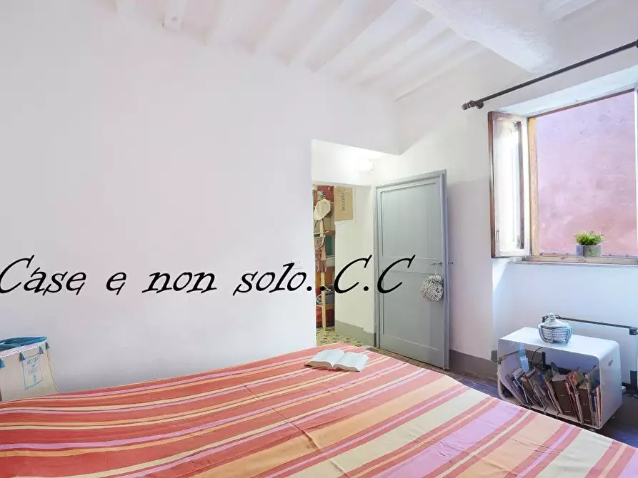 Immagine 8 di Appartamento in vendita  a Castagneto Carducci