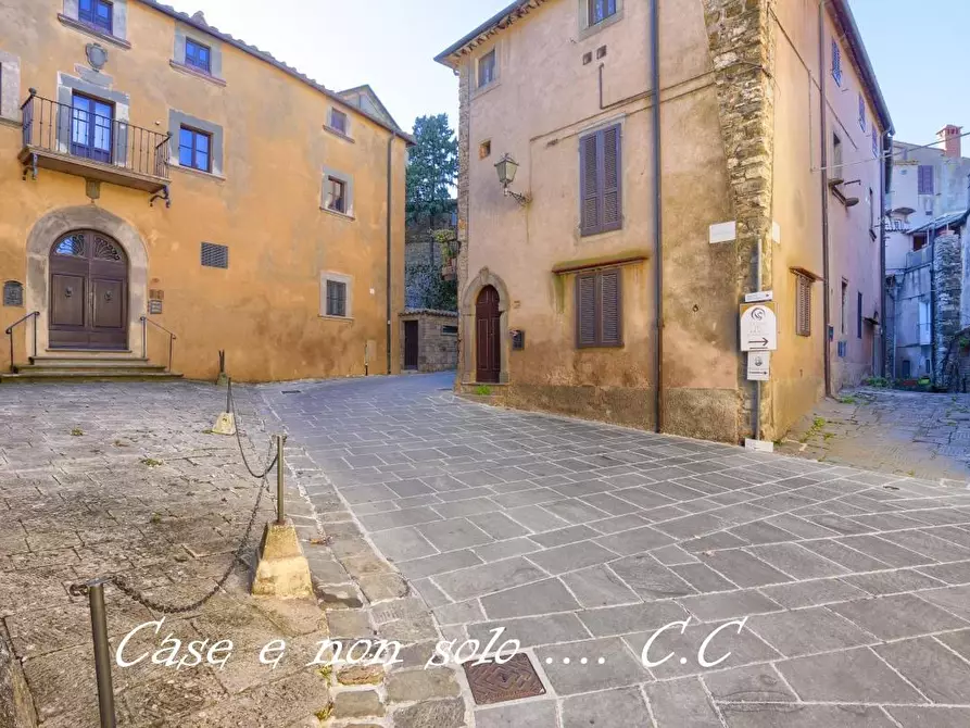 Immagine 3 di Appartamento in vendita  a Castagneto Carducci