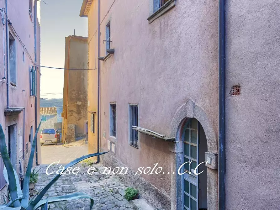 Immagine 2 di Appartamento in vendita  a Castagneto Carducci