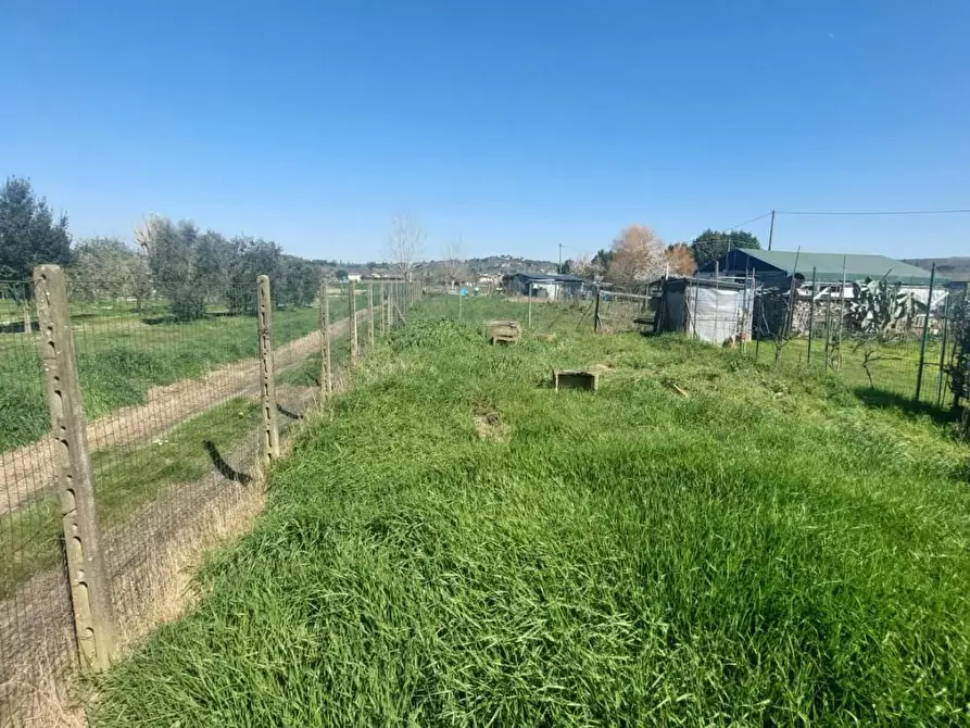 Immagine 3 di Casa colonica in vendita  a Empoli